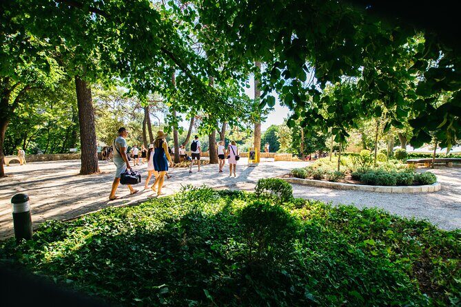 Private Full-Day Tour to Krka Waterfalls and Sibenik - An In-Depth Look at the Tour Experience