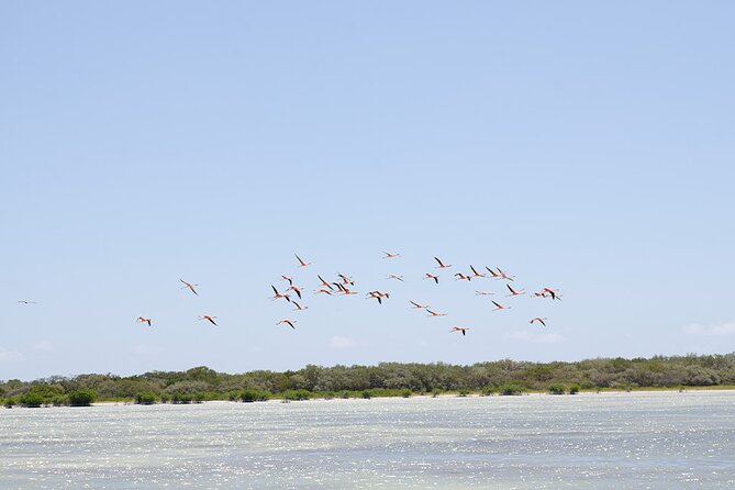 Private Full Day Tour to Laguna De Oviedo - Preparing for the Tour