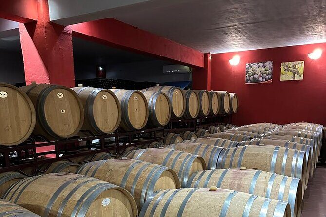 Private Full Day Tour to Nemea Wineries from Attica - The Transport and Overall Value