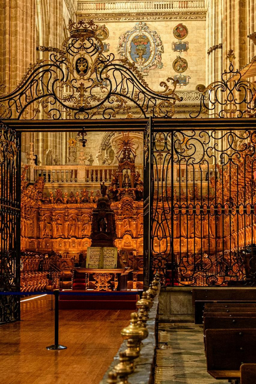 Private Full Day Tour to Salamanca From Madrid - Explore Salamancas History