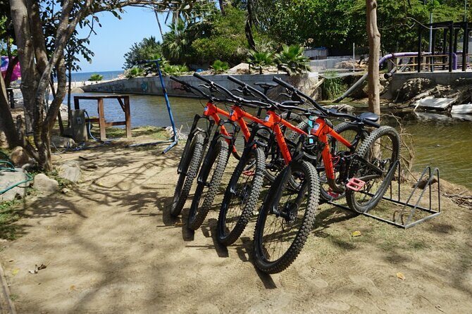 Private Full Day Tour to Sayulita - FAQs