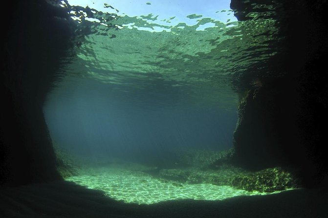 Private Full-Day Tour to the Blue Hole and River Gully Rain Forest From Kingston - Key Points