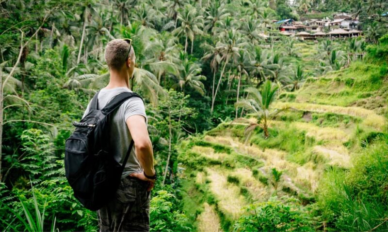 Private Full-Day Tour to the Real Bali Swing and Ubud - Itinerary Highlights