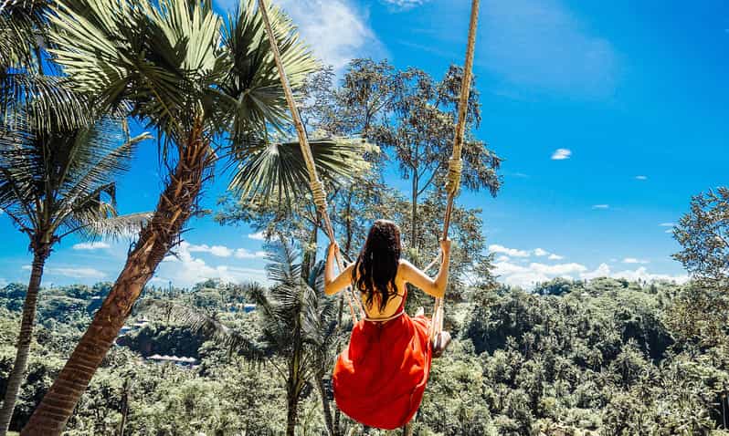 Private Full-Day Tour to the Real Bali Swing and Ubud - Inclusions