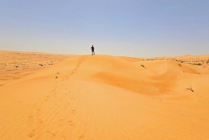 Private Full Day Tour to Wahiba Sands Desert and Wadi Hawer - Sights and Activities