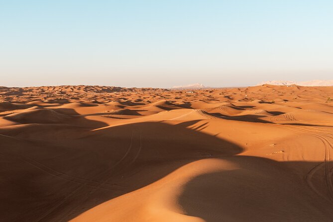Private Full Day Tour to Wahiba Sands Desert and Wadi Hawer - Recommendations for Travelers