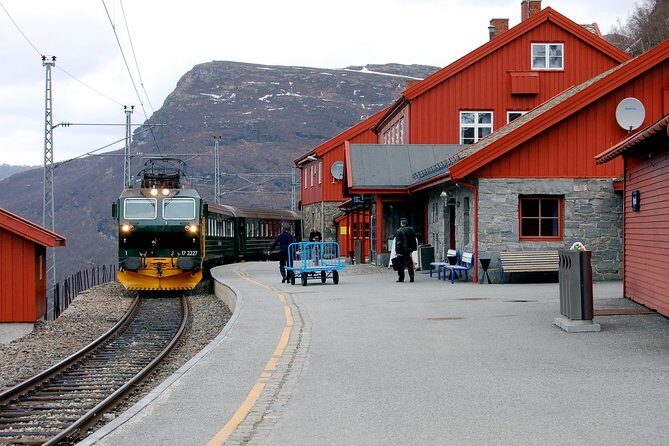 Private Full Day Trip From Oslo To Bergen with Sognefjord And Flam Railway - FAQ