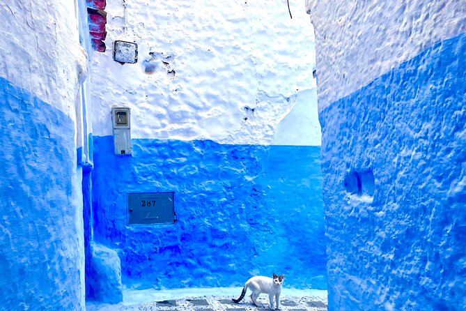 Private Full-Day Trip to the Blue Pearl - Pickup and Accessibility Options