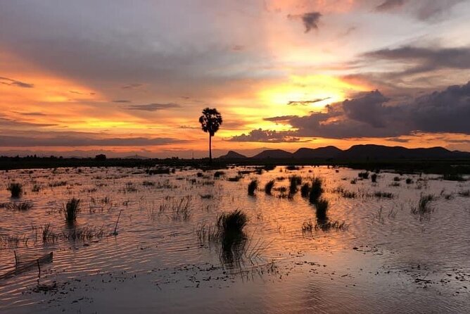 Private Full Day Tuk Tuk Tour in Battambang - Traveler Reviews