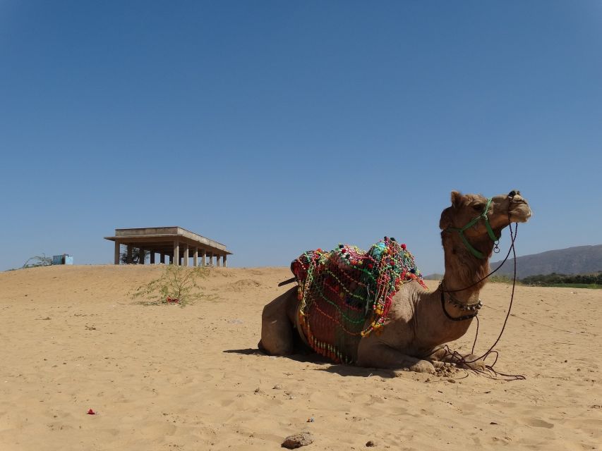 Private Full Day Udaipur City Tour (All-Inclusive) - Key Points