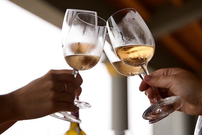 Private Full Day Wine Tasting Tour from Lisbon to Setubal - Key Points