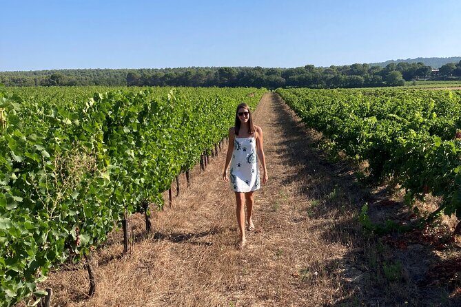 Private Full Day Wine Tour in Provence from Toulon Cruise Port - Analyzing the Value