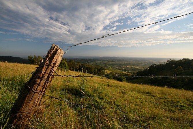 Private full-day wine tour in the Hunter Valley - Who Should Book This Tour?