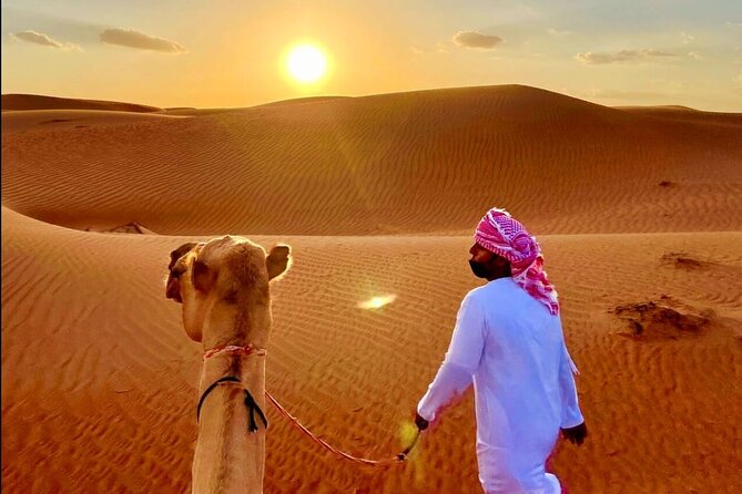 Private Full Day With Watching Desert Sunset - Adventure in Wahiba Sands