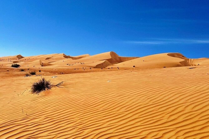 Private Full Day With Watching Desert Sunset - Tour Inclusions and Pricing
