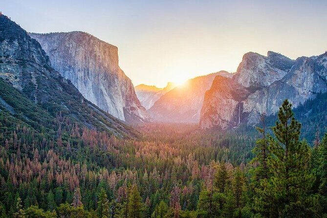 Private Full Day Yosemite National Park Tour from Cupertino - Who This Tour is Best For
