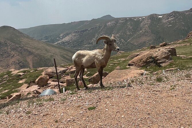 Private Full DayJeep Tour Garden of Gods Pike's Peak from Denver - FAQ