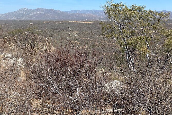 PRIVATE Fun Hiking Tour with Awesome Views - FAQ