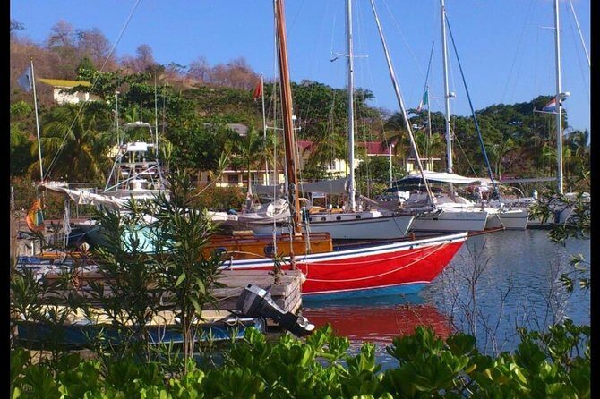 Private Fun Tour in Grenada - Who Would Enjoy This Tour?