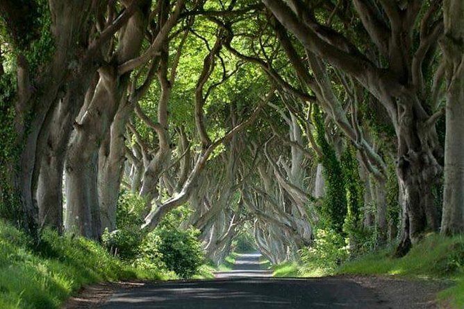 Private Game of Thrones Including Giants Causeway Causeway Coast Rope Bridge - Good To Know