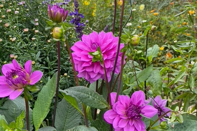 Private Giverny Roundtrip and Entrance Ticket From Paris - Booking and Cancellation