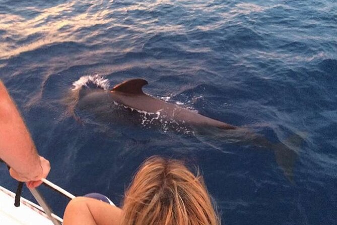 Private Glamorous Speedboat in Tenerife With Snacks & Drinks - Activity Requirements