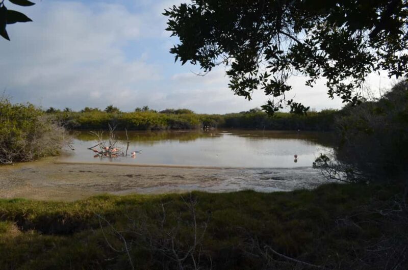 Private: Good Lagoon Exploration in Jaragua National Park - Exploring the Natural Wonders of Jaragua