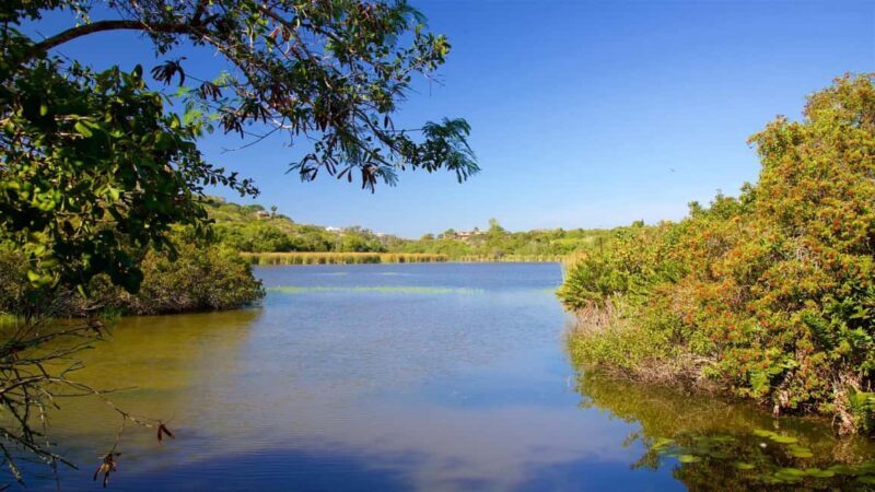 Private: Good Lagoon Exploration in Jaragua National Park - Authentic Experiences and Real Traveler Feedback