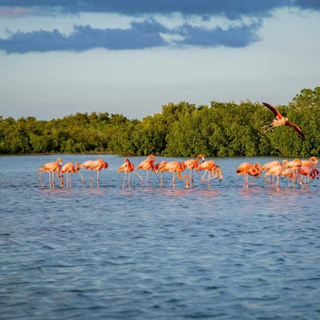 Private: Good Lagoon Exploration in Jaragua National Park - Who Will Enjoy This Tour?