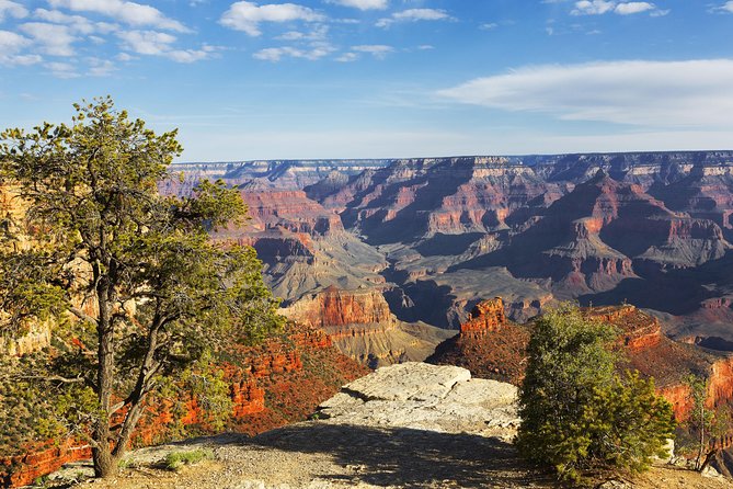 Private Grand Canyon Day Tour From Phoenix & Scottsdale - Customer Reviews