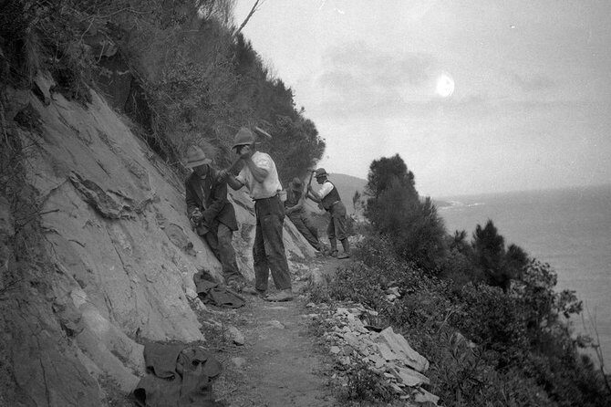 Private Great Ocean Road Local Experience - The Practicalities