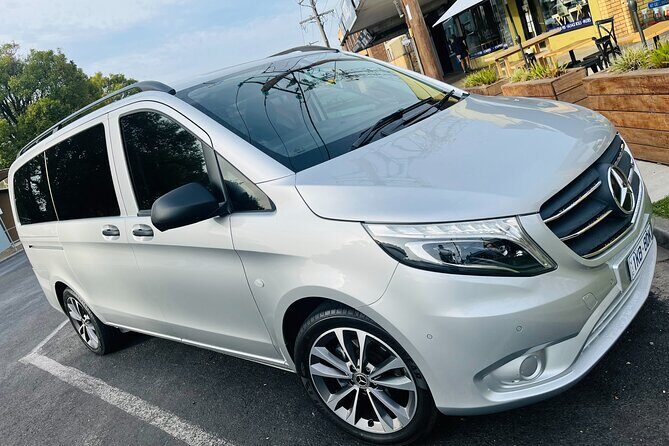 Private Great Ocean Road Local Experience - Who Should Consider This Tour?