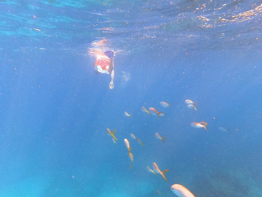 Private Group 8 Hour Sailing + Paddleboarding + Snorkeling - Amenities on Board