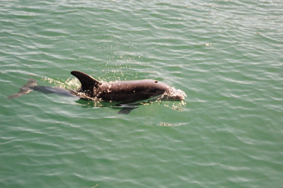 Private Group 8 Hour Sailing + Paddleboarding + Snorkeling - Meeting Point Details