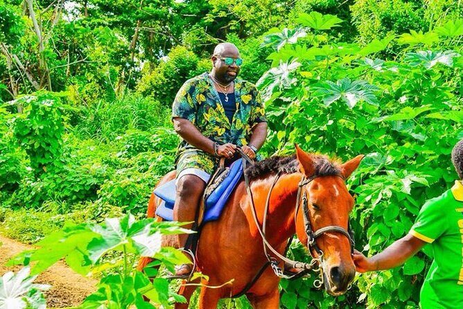 Private Group Beach Horseback Riding in St Anns Bay - Detailed Breakdown of the Itinerary