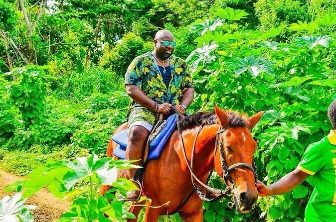 Private Group Beach Horseback Riding in St Anns Bay - The Sum Up