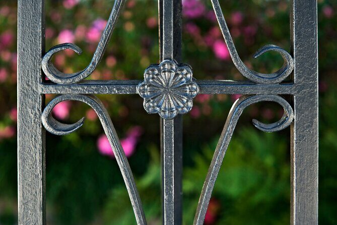 PRIVATE GROUP! Charm of Charleston History and Sights Tour - Frequently Asked Questions