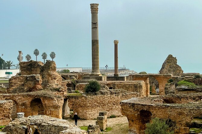 Private Group Day Tour Tunis Medina Carthage Sidi Bou Said - Review Insights