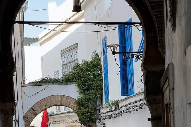 Private Group Day Tour Tunis Medina Carthage Sidi Bou Said - Frequently Asked Questions