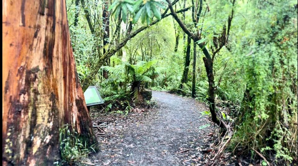 Private Group Great Ocean Road Tour (Max 7 People) - Highlights