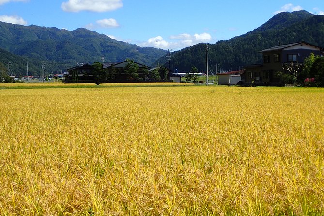 Private-group Morning Cycling Tour in Hida-Furukawa - Start Time and Booking Confirmation