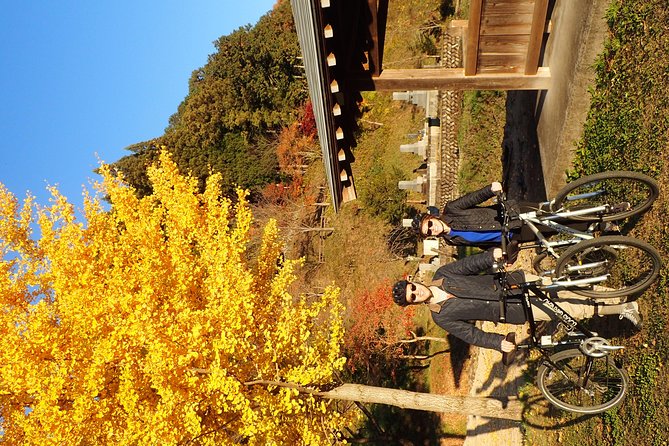 Private-group Morning Cycling Tour in Hida-Furukawa - Exploring the Countryside