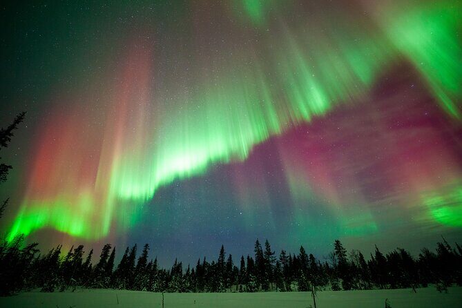 Private Group: Northern Lights Hunt 4x4 SUV with Aurora guarantee - The Value & Cost Consideration