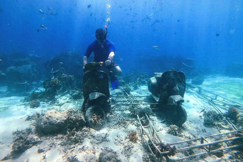 Private Group Snorkeling 3 Gili Islands from Gili Trawangan - Key Points