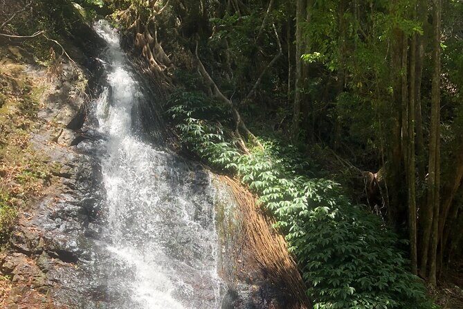 Private Group Tour Brisbane & Gold Coast Personal Tours - FAQ