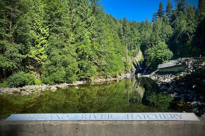 Private Grouse Mountain and Capilano Park Tour in Vancouver - Accessibility