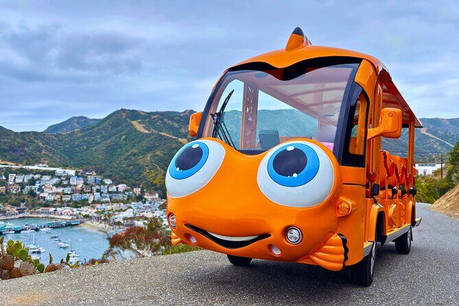 Private Guided City Tour up to 12 Passengers - A Closer Look at the Tour Experience