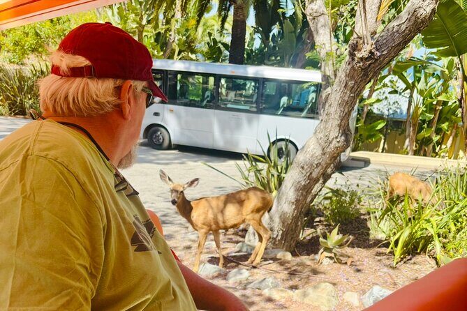 Private Guided City Tour up to 12 Passengers - Final Thoughts