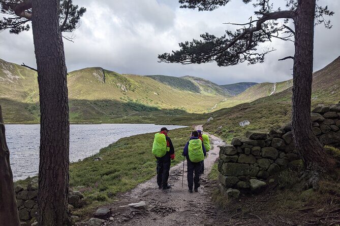 Private Guided Discovery Walk in the Cairngorms - A Closer Look at the Cairngorms Discovery Walk
