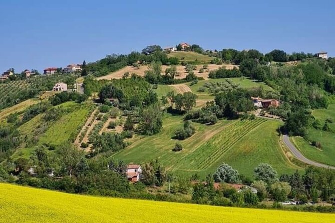 Private Guided E-bike Tour in Bertinoro - Customer Reviews